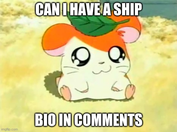 plz :) | CAN I HAVE A SHIP; BIO IN COMMENTS | image tagged in memes,hamtaro,ship,thanks,single | made w/ Imgflip meme maker