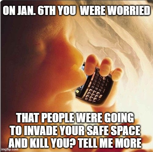 Baby in womb on cell phone - fetus blackberry | ON JAN. 6TH YOU  WERE WORRIED; THAT PEOPLE WERE GOING TO INVADE YOUR SAFE SPACE AND KILL YOU? TELL ME MORE | image tagged in baby in womb on cell phone - fetus blackberry | made w/ Imgflip meme maker