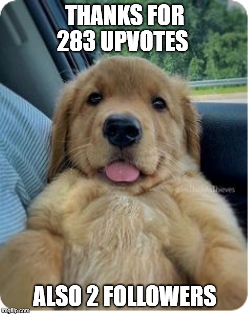 i calculated all of my upvotes on my memes and totall was 283 uwu | THANKS FOR 283 UPVOTES; ALSO 2 FOLLOWERS | image tagged in upvotes,followers,thanks,FreeKarma4U | made w/ Imgflip meme maker