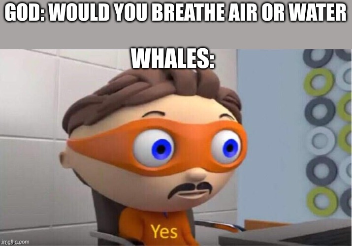 Whales are fdgjhmhngfs | GOD: WOULD YOU BREATHE AIR OR WATER; WHALES: | image tagged in protegent yes | made w/ Imgflip meme maker