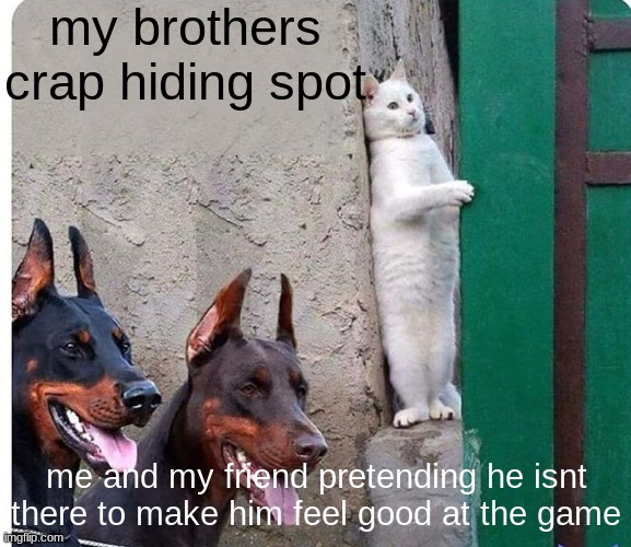 cat and seek |  my brothers crap hiding spot; me and my friend pretending he isnt there to make him feel good at the game | image tagged in hidden cat,siblings | made w/ Imgflip meme maker