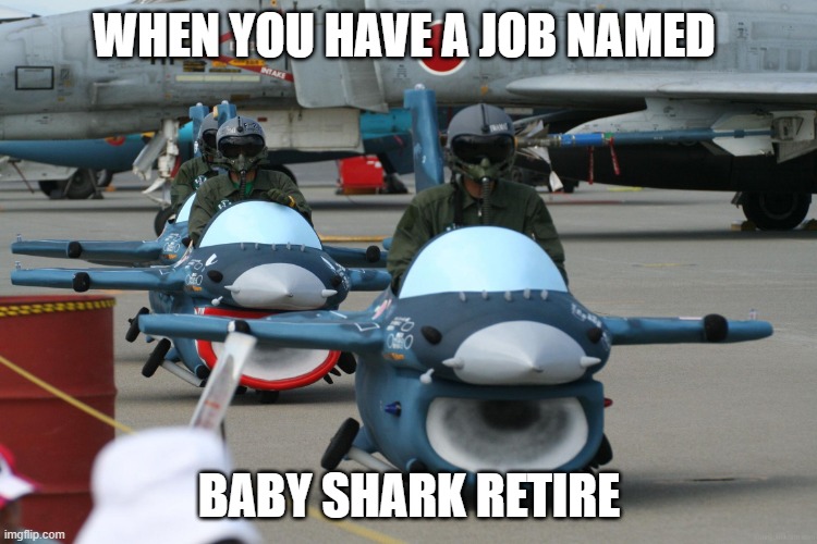 Air force | WHEN YOU HAVE A JOB NAMED; BABY SHARK RETIRE | image tagged in air force | made w/ Imgflip meme maker