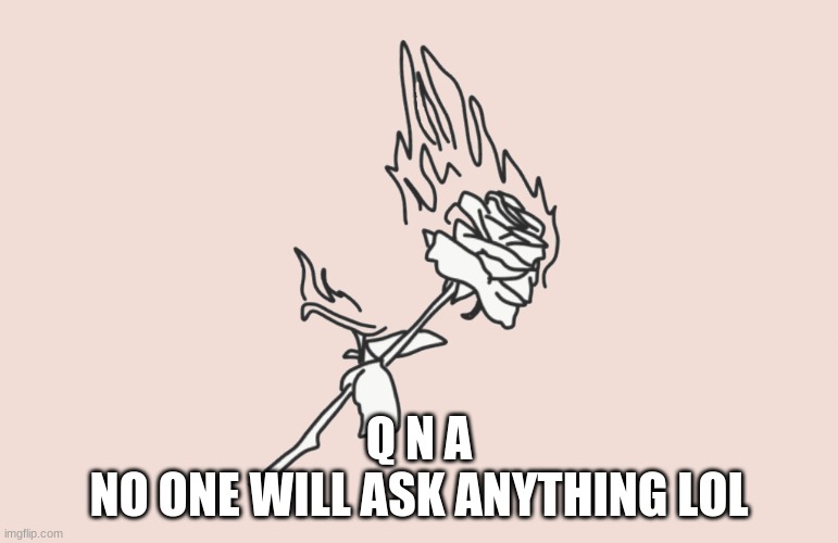 burning rose | Q N A
NO ONE WILL ASK ANYTHING LOL | image tagged in burning rose | made w/ Imgflip meme maker