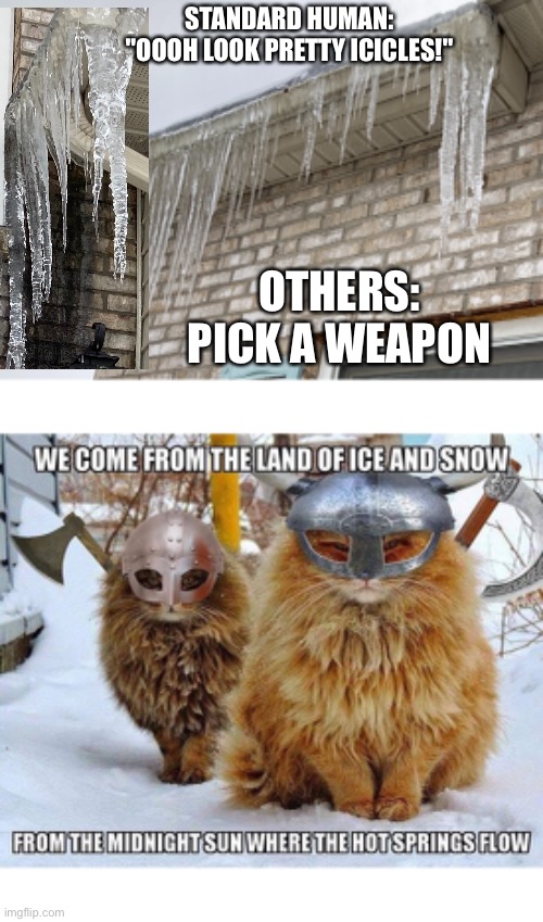 No evidence... | STANDARD HUMAN: "OOOH LOOK PRETTY ICICLES!"; OTHERS: PICK A WEAPON | image tagged in snow cats,ice ice baby,weapons,really ice cube,freeze | made w/ Imgflip meme maker
