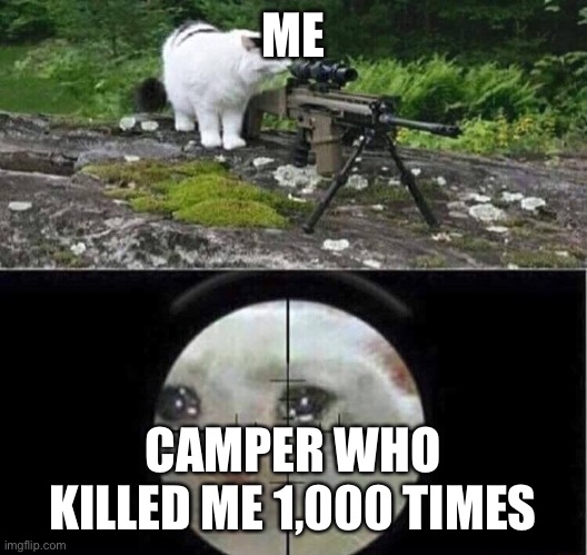 Sniper cat | ME; CAMPER WHO KILLED ME 1,000 TIMES | image tagged in sniper cat | made w/ Imgflip meme maker
