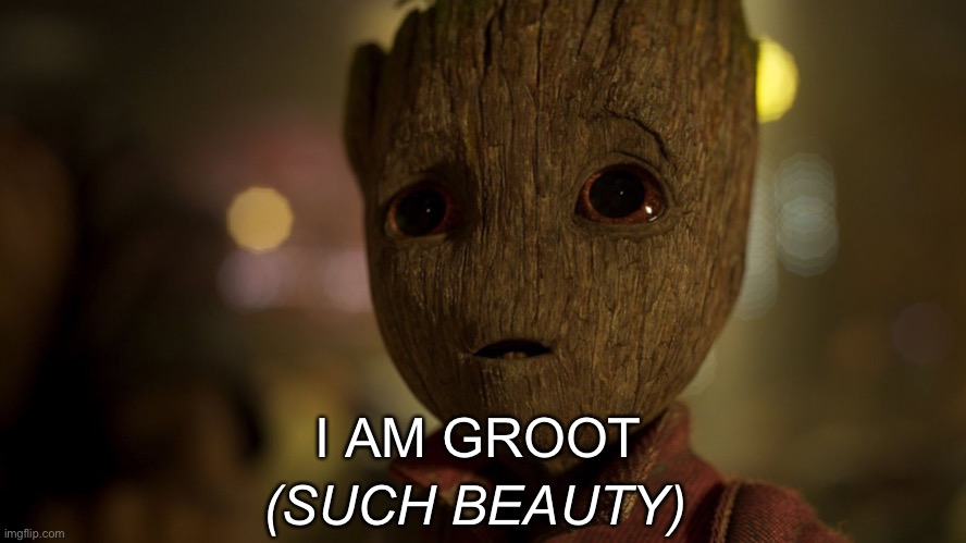 Baby Groot in Awe | I AM GROOT (SUCH BEAUTY) | image tagged in baby groot in awe | made w/ Imgflip meme maker
