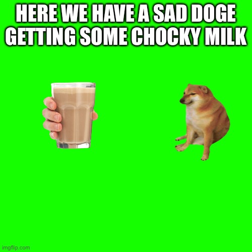 Make him happy | HERE WE HAVE A SAD DOGE GETTING SOME CHOCKY MILK | image tagged in memes,blank transparent square | made w/ Imgflip meme maker