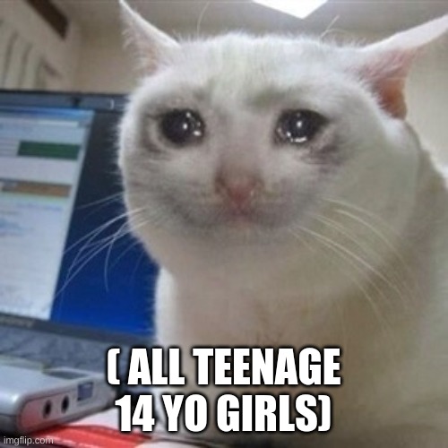 Crying cat | ( ALL TEENAGE 14 YO GIRLS) | image tagged in crying cat | made w/ Imgflip meme maker
