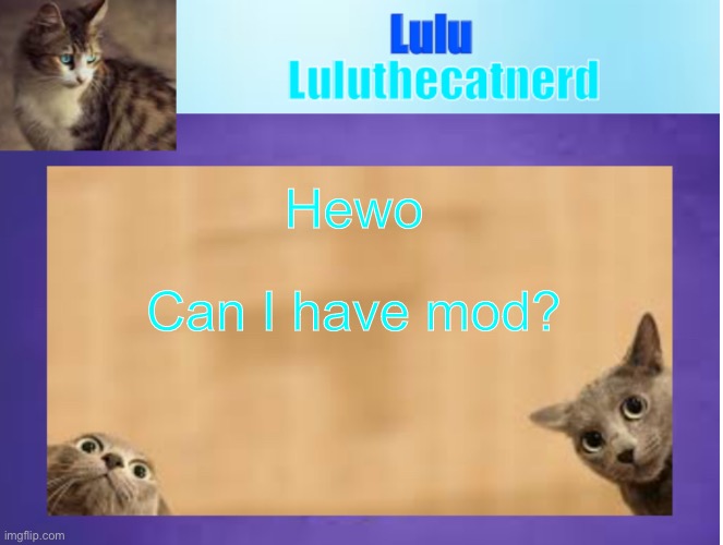 old Luluthecatnerd announcement template | Hewo; Can I have mod? | made w/ Imgflip meme maker