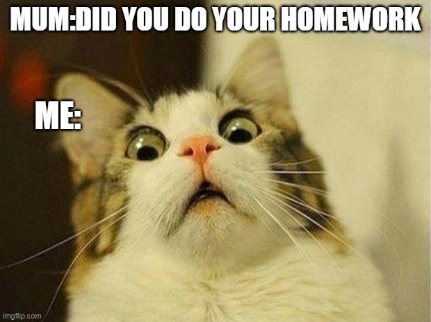 Scared Cat Meme | MUM:DID YOU DO YOUR HOMEWORK; ME: | image tagged in memes,scared cat | made w/ Imgflip meme maker