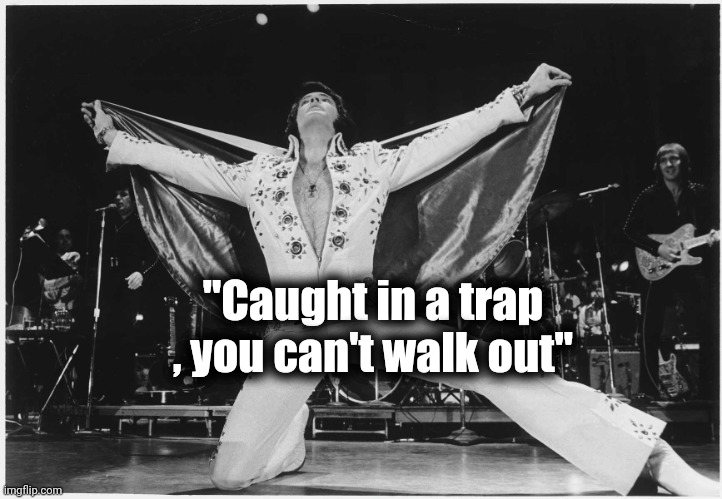 Elvis  | "Caught in a trap , you can't walk out" | image tagged in elvis | made w/ Imgflip meme maker