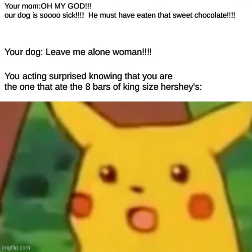 Surprised Pikachu Meme | Your mom:OH MY GOD!!! 
our dog is soooo sick!!!!  He must have eaten that sweet chocolate!!!! Your dog: Leave me alone woman!!!! You acting surprised knowing that you are the one that ate the 8 bars of king size hershey's: | image tagged in memes,surprised pikachu | made w/ Imgflip meme maker