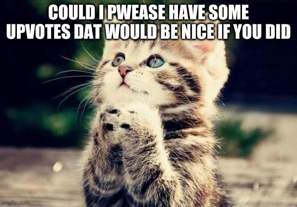pwease can i have some upvotes? |  COULD I PWEASE HAVE SOME UPVOTES DAT WOULD BE NICE IF YOU DID | image tagged in cat begging | made w/ Imgflip meme maker