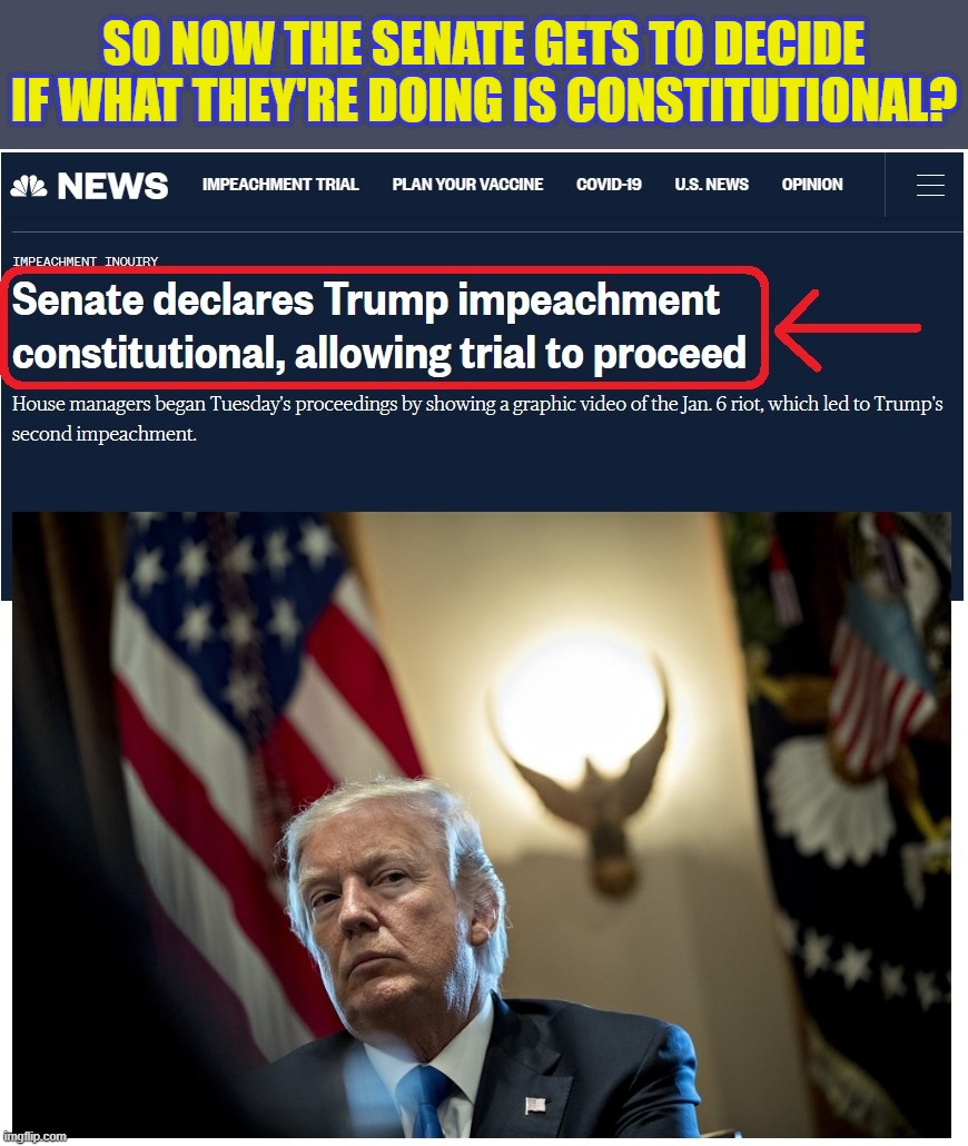 What happened to separation of powers? Where's the SCOTUS Chief Justice, so this sham trial can be dismissed? | SO NOW THE SENATE GETS TO DECIDE IF WHAT THEY'RE DOING IS CONSTITUTIONAL? | image tagged in impeach farce,trump | made w/ Imgflip meme maker