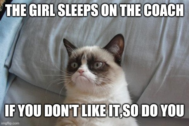 Grumpy Cat Bed Meme | THE GIRL SLEEPS ON THE COACH; IF YOU DON'T LIKE IT,SO DO YOU | image tagged in memes,grumpy cat bed,grumpy cat | made w/ Imgflip meme maker