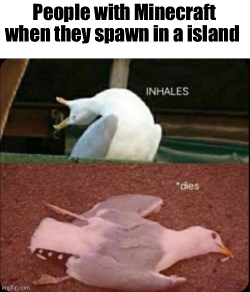 inhales dies bird | People with Minecraft when they spawn in a island | image tagged in inhales dies bird | made w/ Imgflip meme maker