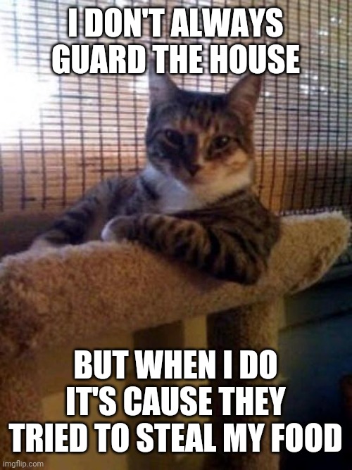 The Most Interesting Cat In The World | I DON'T ALWAYS GUARD THE HOUSE; BUT WHEN I DO IT'S CAUSE THEY TRIED TO STEAL MY FOOD | image tagged in memes,the most interesting cat in the world | made w/ Imgflip meme maker