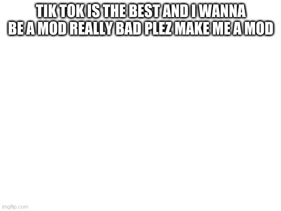 Blank White Template |  TIK TOK IS THE BEST AND I WANNA BE A MOD REALLY BAD PLEZ MAKE ME A MOD | image tagged in blank white template | made w/ Imgflip meme maker