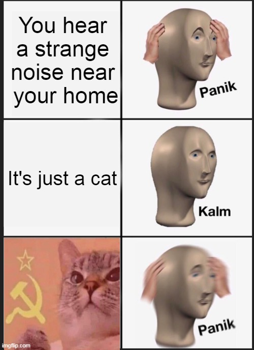 Panik Kalm Panik Meme | You hear a strange noise near
 your home; It's just a cat | image tagged in memes,panik kalm panik | made w/ Imgflip meme maker