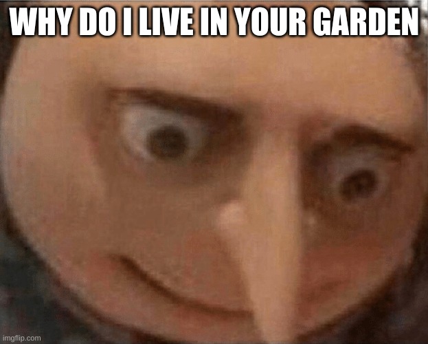 uh oh Gru | WHY DO I LIVE IN YOUR GARDEN | image tagged in uh oh gru | made w/ Imgflip meme maker