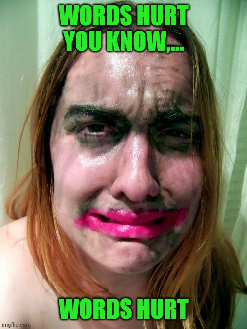 WORDS HURT YOU KNOW,... WORDS HURT | made w/ Imgflip meme maker