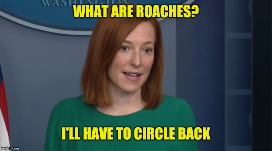Circle Back | WHAT ARE ROACHES? I'LL HAVE TO CIRCLE BACK | image tagged in circle back psaki,political correctness,fake news,politically correct,evil smile | made w/ Imgflip meme maker
