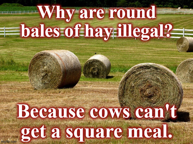 hay | Why are round bales of hay illegal? Because cows can't 
get a square meal. | image tagged in hay | made w/ Imgflip meme maker