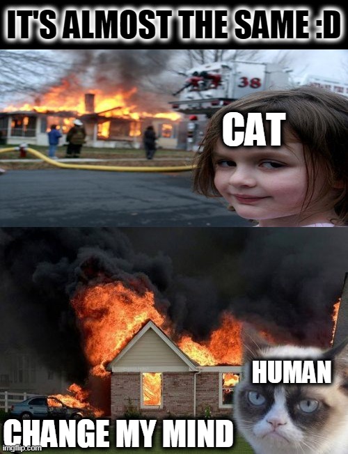 Burn Kitty Meme | IT'S ALMOST THE SAME :D; CAT; HUMAN; CHANGE MY MIND | image tagged in memes,burn kitty,grumpy cat | made w/ Imgflip meme maker