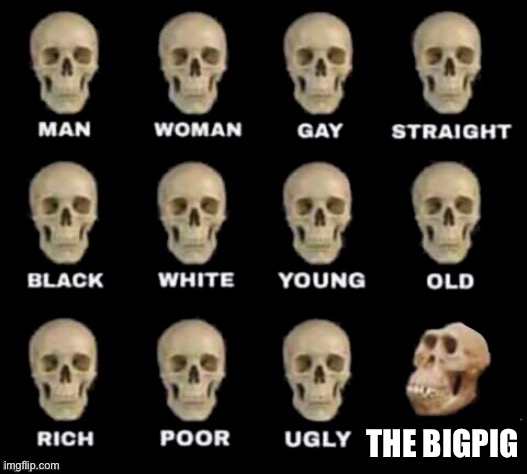 He is a jerk | THE BIGPIG | image tagged in idiot skull | made w/ Imgflip meme maker