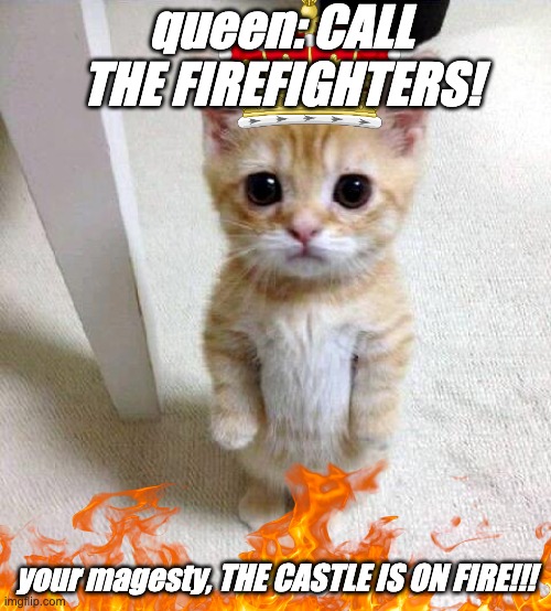 Cute Cat Meme | queen: CALL THE FIREFIGHTERS! your magesty, THE CASTLE IS ON FIRE!!! | image tagged in memes,cute cat | made w/ Imgflip meme maker