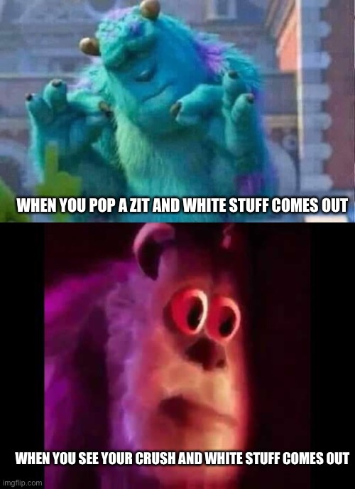 OH DANG | WHEN YOU POP A ZIT AND WHITE STUFF COMES OUT; WHEN YOU SEE YOUR CRUSH AND WHITE STUFF COMES OUT | image tagged in sully shutdown,sully groan,funny,memes,omg | made w/ Imgflip meme maker