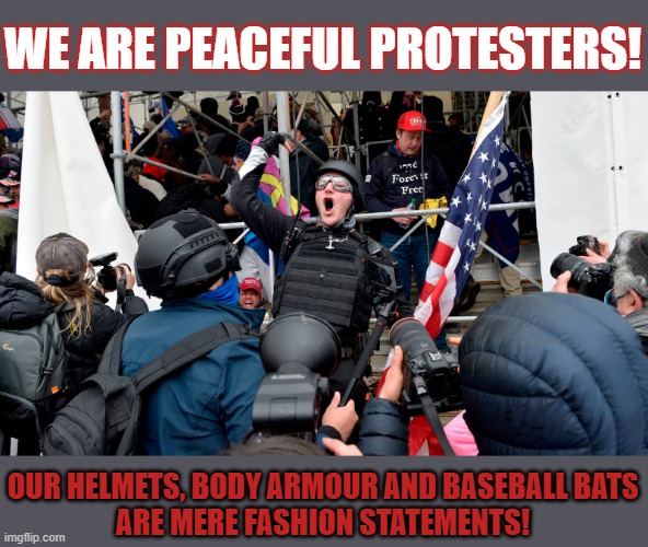 Was this the behaviour of peaceful protesters? | WE ARE PEACEFUL PROTESTERS! OUR HELMETS, BODY ARMOUR AND BASEBALL BATS
ARE MERE FASHION STATEMENTS! | image tagged in january 6th,capitol hill,trump supporters | made w/ Imgflip meme maker