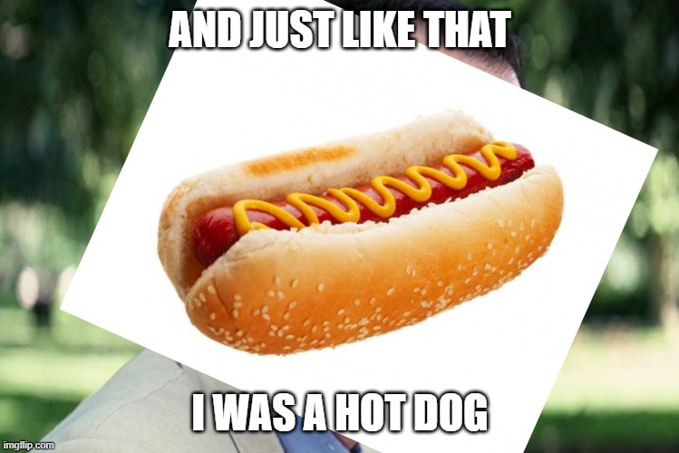 Ima Get A Hotty Doggy | AND JUST LIKE THAT; I WAS A HOT DOG | image tagged in memes,funny,and just like that | made w/ Imgflip meme maker