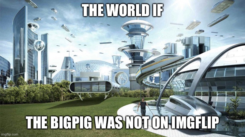 The future world if | THE WORLD IF THE BIGPIG WAS NOT ON IMGFLIP | image tagged in the future world if | made w/ Imgflip meme maker