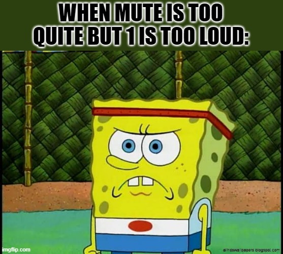 Angry political SpongeBob | WHEN MUTE IS TOO QUITE BUT 1 IS TOO LOUD: | image tagged in angry political spongebob | made w/ Imgflip meme maker