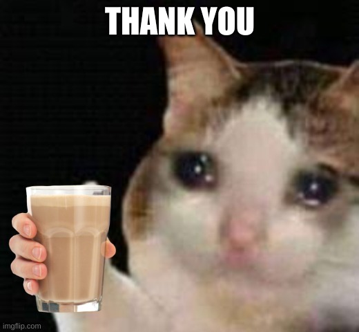 Approved crying cat | THANK YOU | image tagged in approved crying cat | made w/ Imgflip meme maker