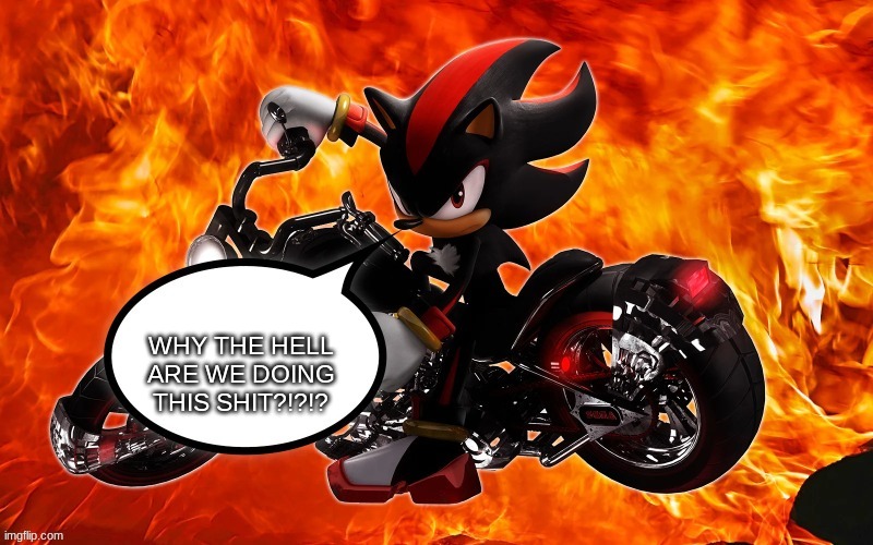 shadow says | WHY THE HELL ARE WE DOING THIS SHIT?!?!? | image tagged in shadow says,memes | made w/ Imgflip meme maker