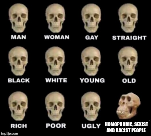 idiot skull | HOMOPHOBIC, SEXIST AND RACIST PEOPLE | image tagged in idiot skull | made w/ Imgflip meme maker