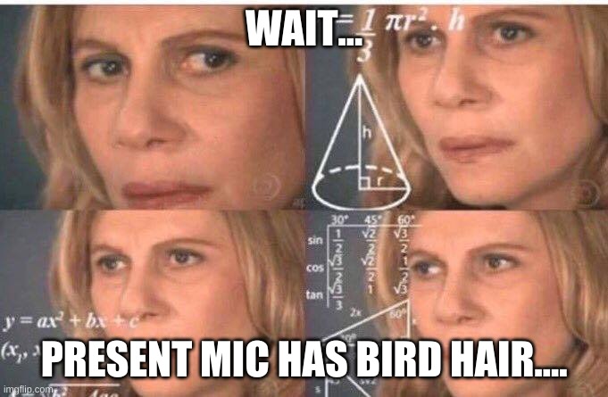 wait... | WAIT... PRESENT MIC HAS BIRD HAIR.... | image tagged in math lady/confused lady,mha,my hero academia,present mic | made w/ Imgflip meme maker