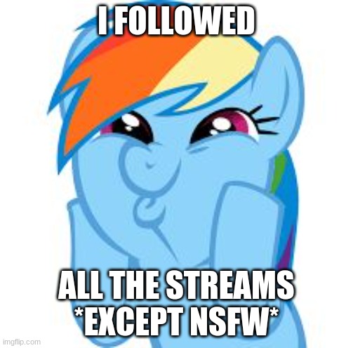 YES | I FOLLOWED; ALL THE STREAMS *EXCEPT NSFW* | image tagged in rainbow dash so awesome,mlp,memes,streams | made w/ Imgflip meme maker