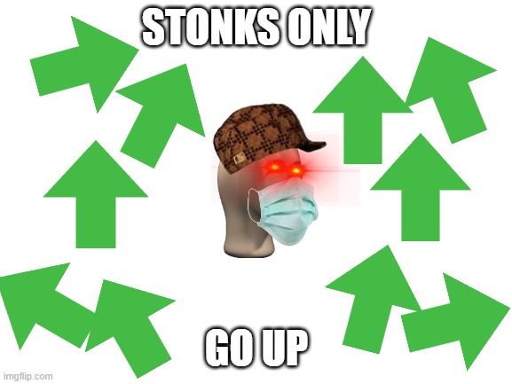 STONKZ | STONKS ONLY; GO UP | image tagged in blank white template | made w/ Imgflip meme maker