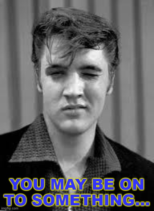 Elvis | YOU MAY BE ON TO SOMETHING... | image tagged in elvis | made w/ Imgflip meme maker