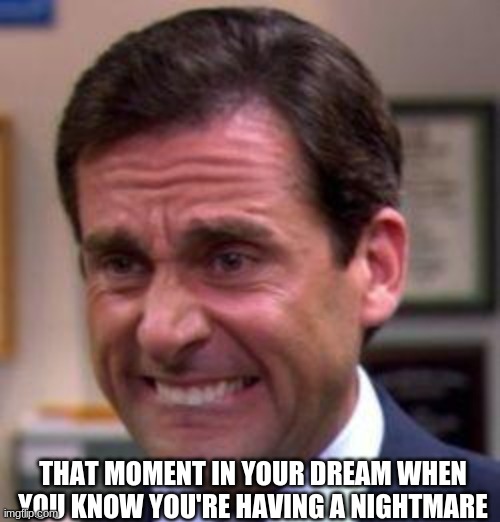 So true though | THAT MOMENT IN YOUR DREAM WHEN YOU KNOW YOU'RE HAVING A NIGHTMARE | image tagged in michael scott | made w/ Imgflip meme maker
