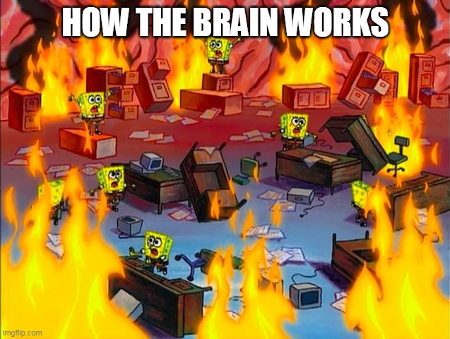 That is how the brain works, guys | HOW THE BRAIN WORKS | image tagged in spongebob brain chaos,guys,brain | made w/ Imgflip meme maker