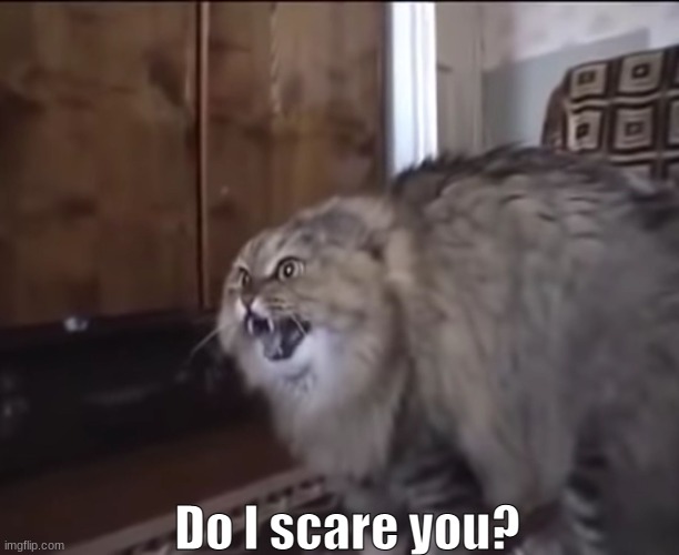 It's an honest question- | Do I scare you? | image tagged in hissing cat | made w/ Imgflip meme maker