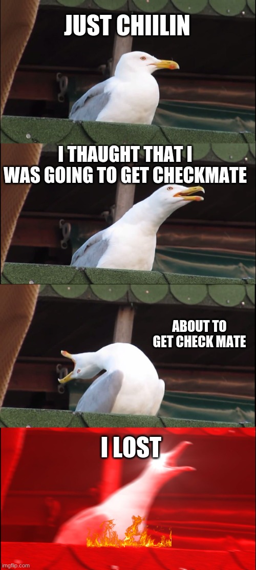 Inhaling Seagull Meme | JUST CHIILIN; I THAUGHT THAT I WAS GOING TO GET CHECKMATE; ABOUT TO GET CHECK MATE; I LOST | image tagged in memes,inhaling seagull | made w/ Imgflip meme maker