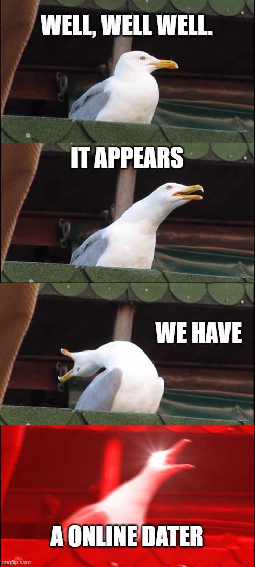 Inhaling Seagull Meme | WELL, WELL WELL. IT APPEARS; WE HAVE; A ONLINE DATER | image tagged in memes,inhaling seagull | made w/ Imgflip meme maker