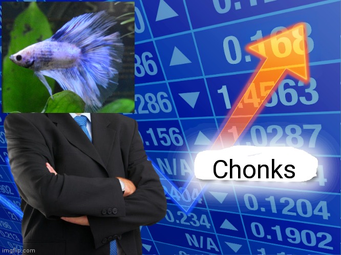 Betta Chonks | Chonks | image tagged in empty stonks | made w/ Imgflip meme maker