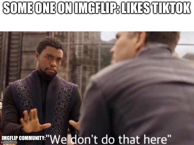 We dont do that here | SOME ONE ON IMGFLIP: LIKES TIKTOK; IMGFLIP COMMUNITY: | image tagged in we dont do that here | made w/ Imgflip meme maker