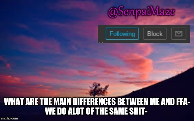 sunset | WHAT ARE THE MAIN DIFFERENCES BETWEEN ME AND FFA-
WE DO ALOT OF THE SAME SHIT- | image tagged in sunset | made w/ Imgflip meme maker